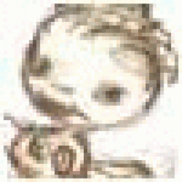 needoSap