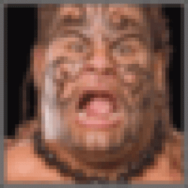 LwoerjDindy