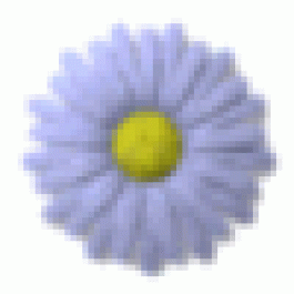 DavidBip