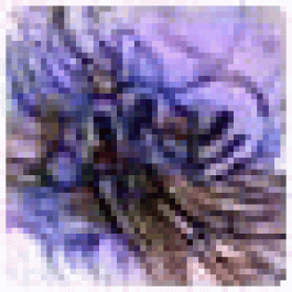 Charlesspope