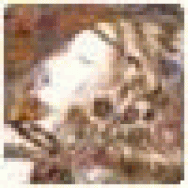 Matthewtup
