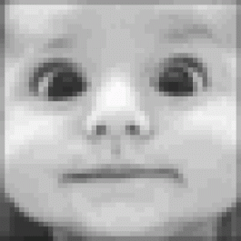 BrandonKex