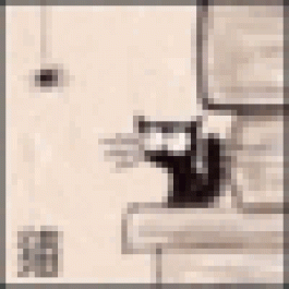 DonaldBut