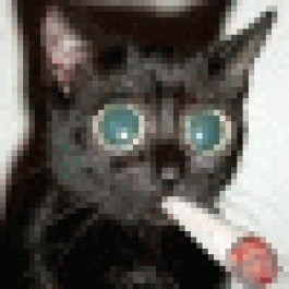 Bobbygew