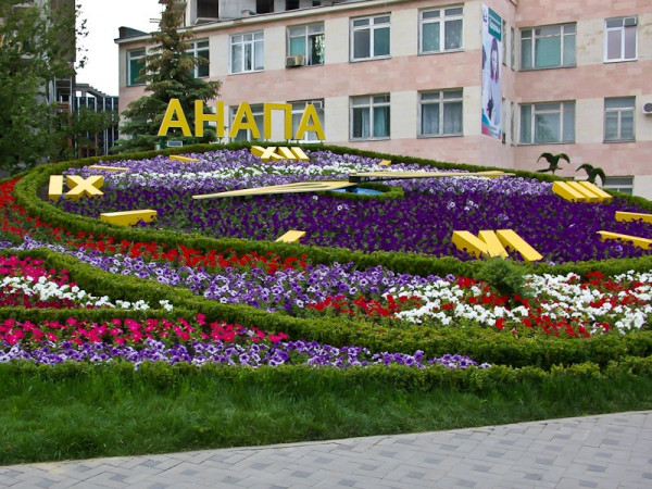 В Анапе пошли Цветочные часы