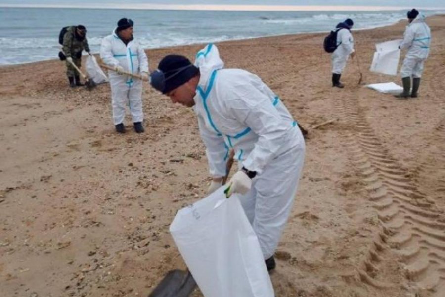24 участка Анапы пострадали от нового выброса мазута